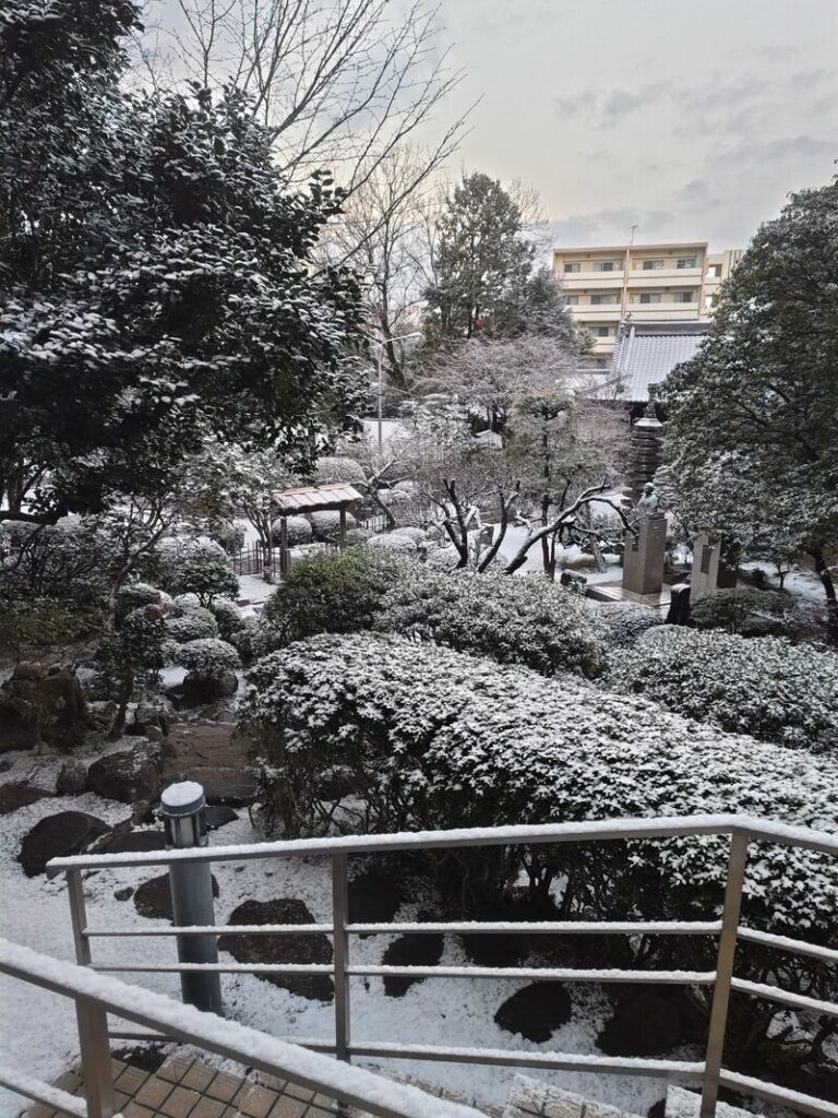 雪化粧をした延命庵（レストランからの風景）