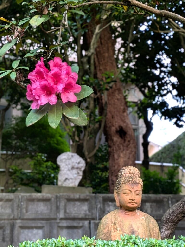 観音様と石楠花